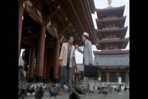 PDVD_003.jpg