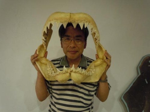 20120825サメの標本と私.jpg