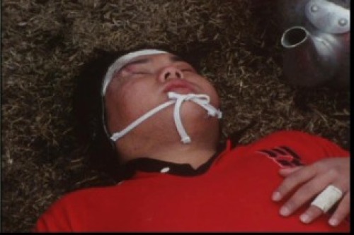 PDVD_030.jpg