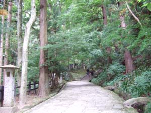 山寺 上り.jpg