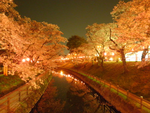 ２０１２年４月１６日栃木県