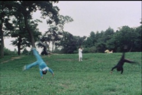 PDVD_007.jpg
