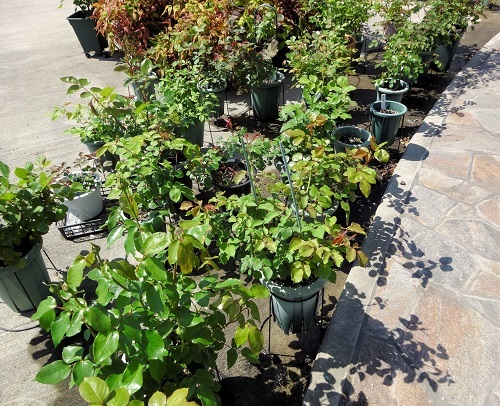 2016-04-19 14.02.41.jpg