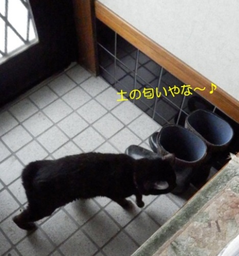 20150622_4.jpg