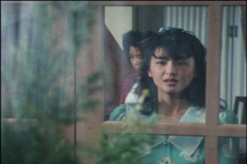 PDVD_021.jpg