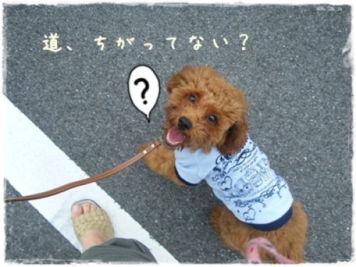 DSCF4061.JPG
