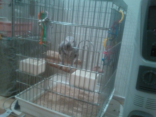 7 お掃除。。。.JPG