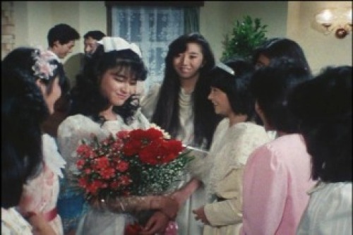 PDVD_033.jpg