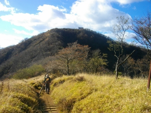 塔ノ岳木ノ又 (4) (500x375).jpg