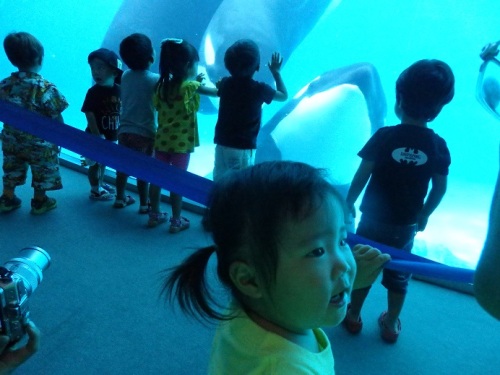 水族館11.JPG