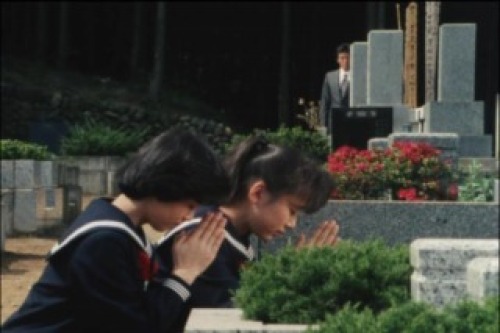 PDVD_005.jpg