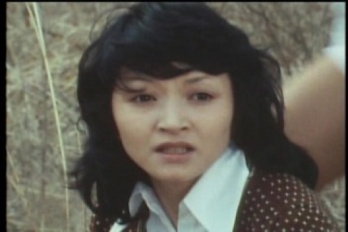 PDVD_005.jpg