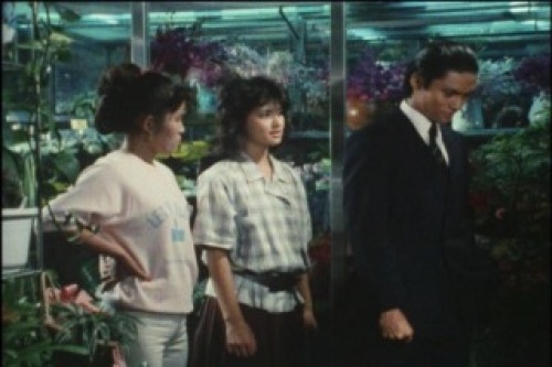 PDVD_017.jpg