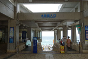 沖縄550.jpg