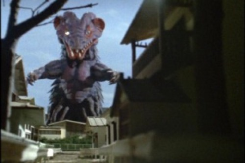 PDVD_024.jpg