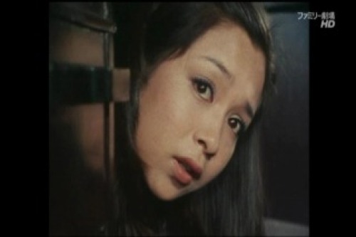 PDVD_008.jpg