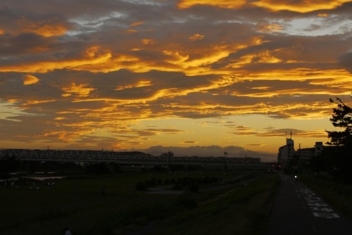 P1160096 のコピー.JPG