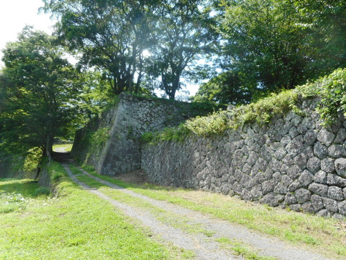 岡城西の丸石垣 (3).JPG