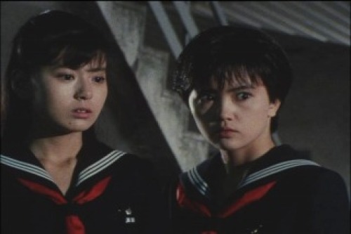 PDVD_022.jpg