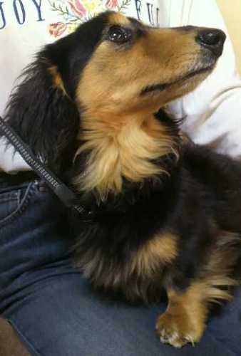 20131208むさし.jpg
