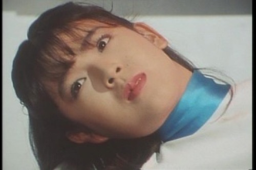 PDVD_033.jpg