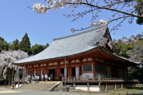 pict-醍醐寺　21.jpg