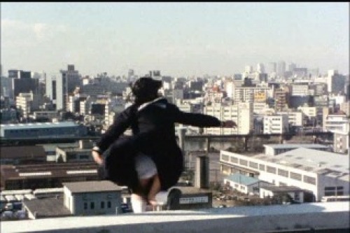 PDVD_003.jpg