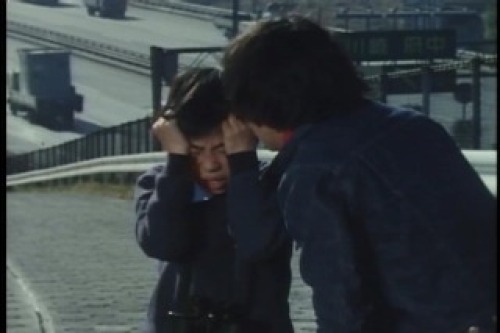 PDVD_004.jpg