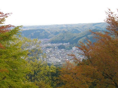 青梅丘陵青梅市内矢倉台 (2).JPG