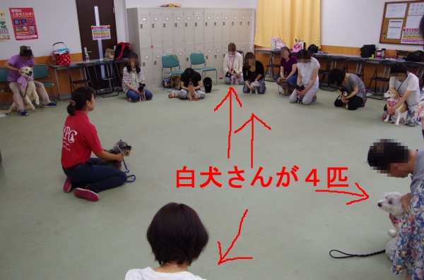 IMGP1080.jpg