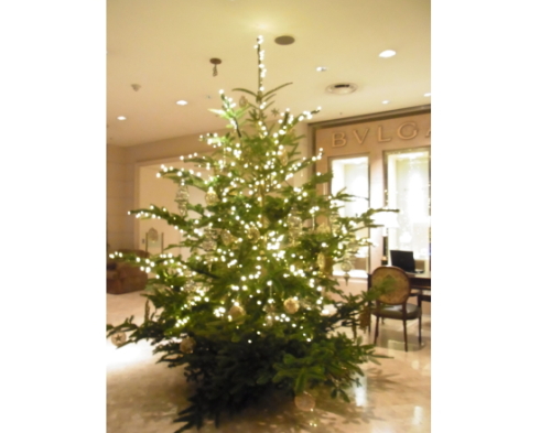 20121201西洋銀座６　ツリー.jpg