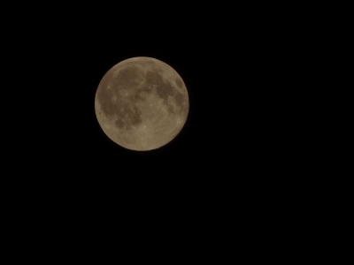 DSC01302_1.jpg