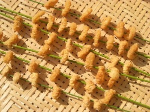 DSCN5375 (300x225).jpg