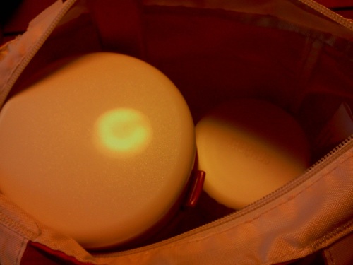 Thermos コウバイおべんとう組み合わせ例