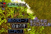 64T