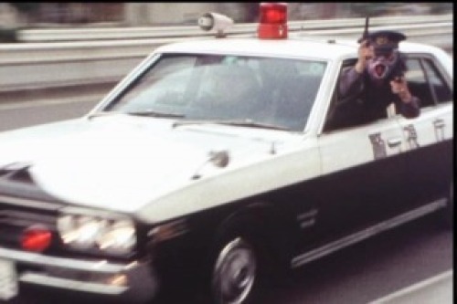 PDVD_011.jpg