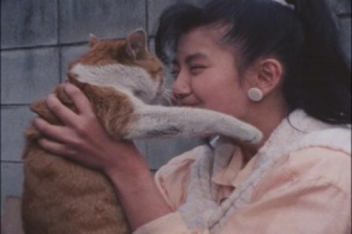 PDVD_023.jpg