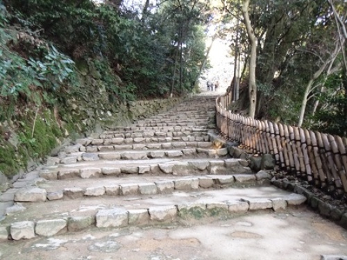 DSCF2160.JPG