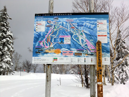 furano5-550.jpg