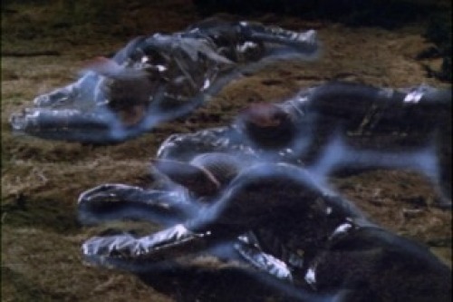PDVD_059.jpg
