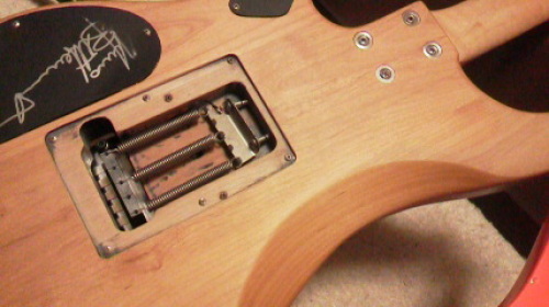 Washburn N2　
