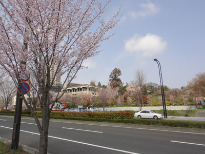 榴岡2.jpg