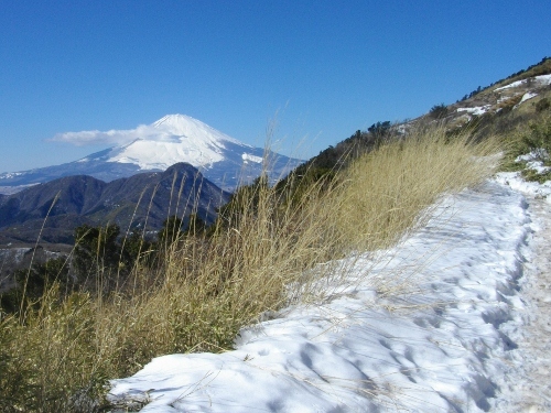 箱根外輪山明神ヶ岳 (7) (500x375).jpg