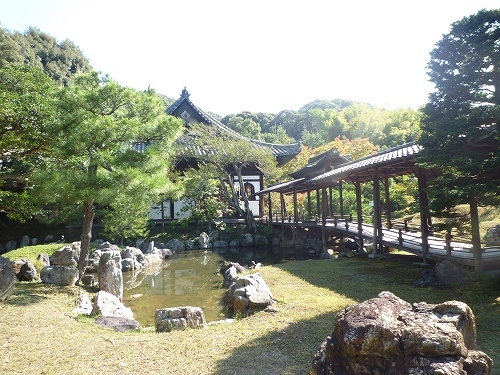 P1030331.jpg