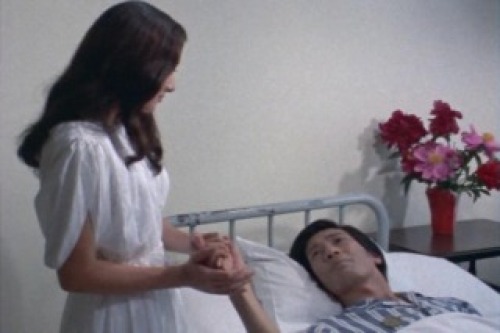 PDVD_015.jpg