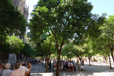 スペイン751.jpg