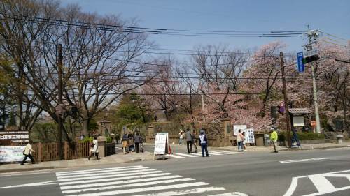 20150418上田04　上田城二の丸橋.jpg