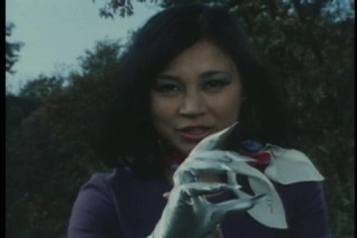 PDVD_038.jpg