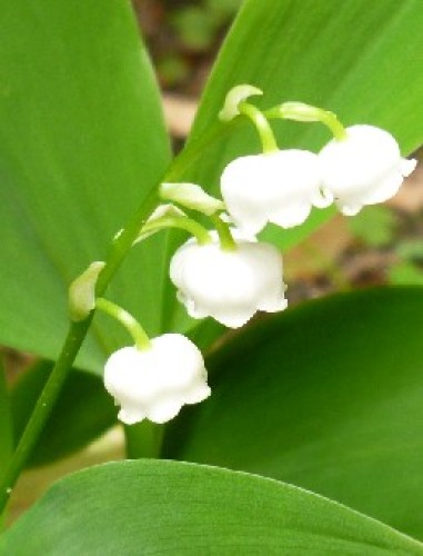 s1020471.JPG