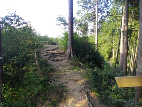 奥高尾縦走路荷田子峠 (4).JPG